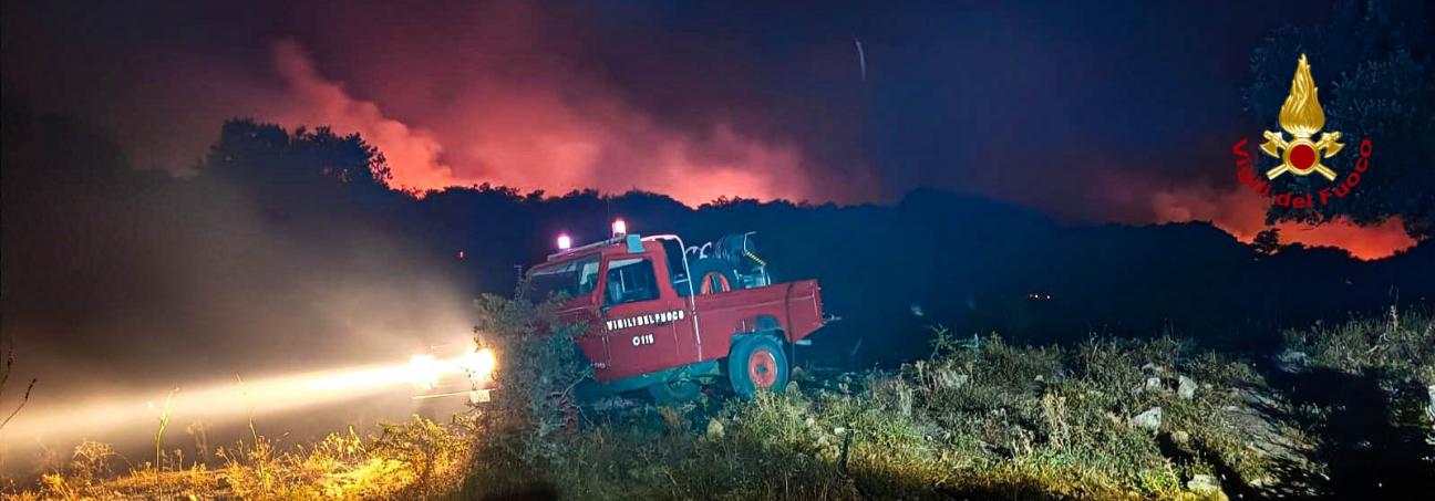 copertina_notizia_incendi_vegetazione.jpeg