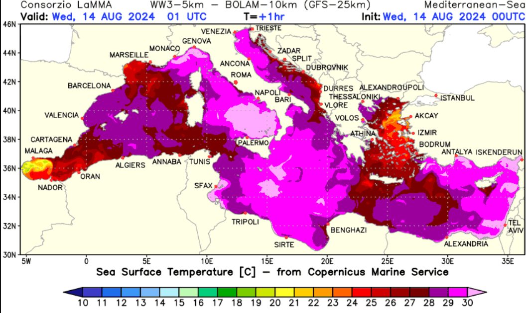 lamma_mediterraneo_caldo.jpg