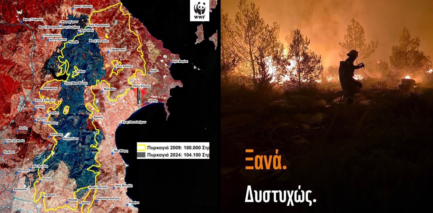 περισσότερα από 30 χιλιάδες εκτάρια δασών έχουν ήδη καταστραφεί