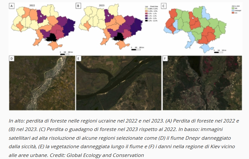 guerra ucraina deforestazione 1