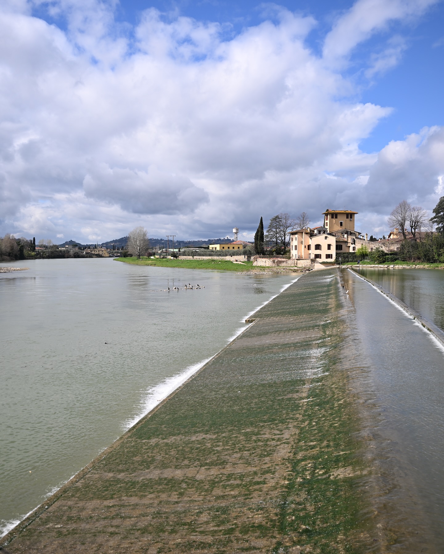 sesta briglia arno 2