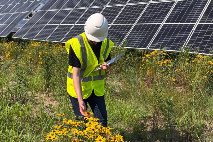 Quali aree per il fotovoltaico? Il Coordinamento Free mette insieme agricoltori, industriali e ambientalisti