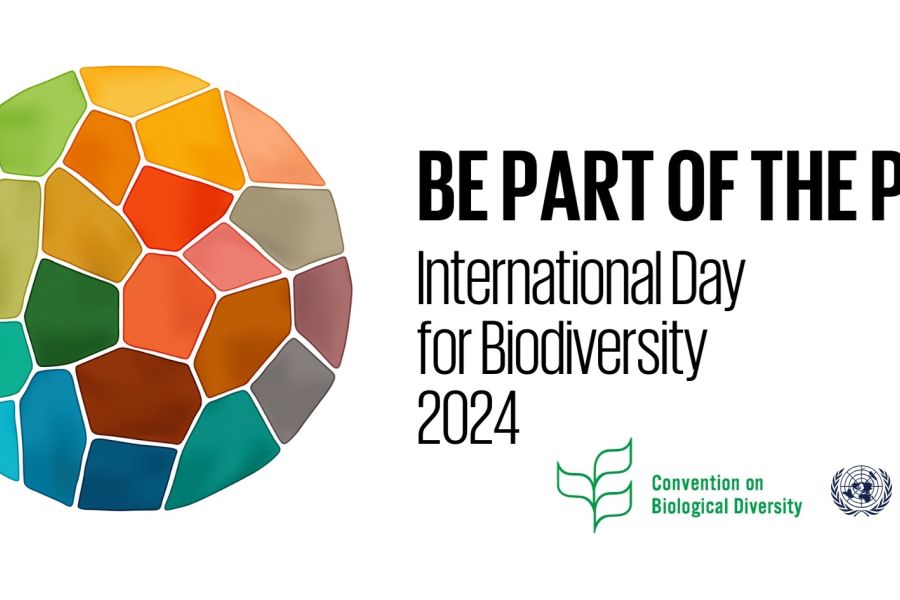 L’international day for biodiversity al tempo delle coestinzioni