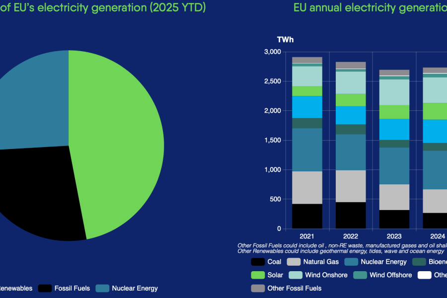 Un grafico con i dati di Eurelectric