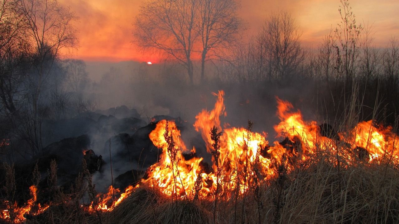 Guerra e incendi