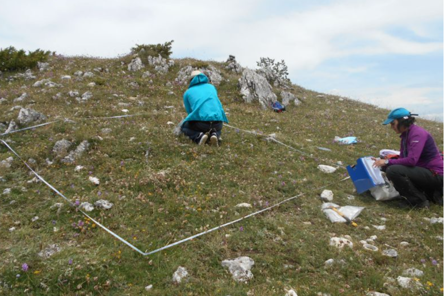 Parco nazionale d’Abruzzo, biodiversità da record