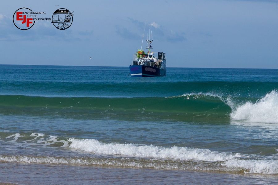 Aree marine protette: azione legale contro il governo francese per non aver vietato la pesca a strascico