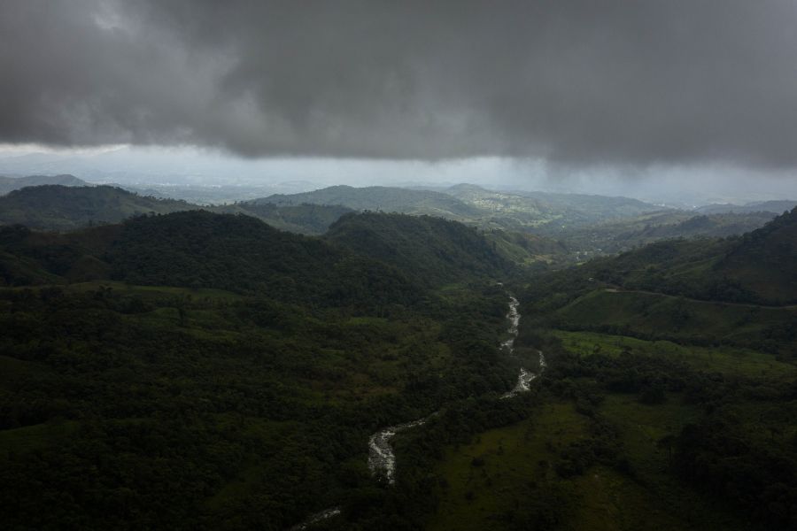 Quanta foresta abbiamo perso?