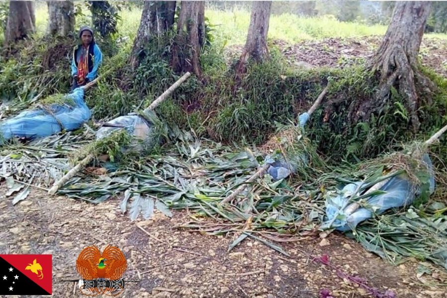 La Papua Nuova Guinea dopo il massacro per la terra e l’acqua