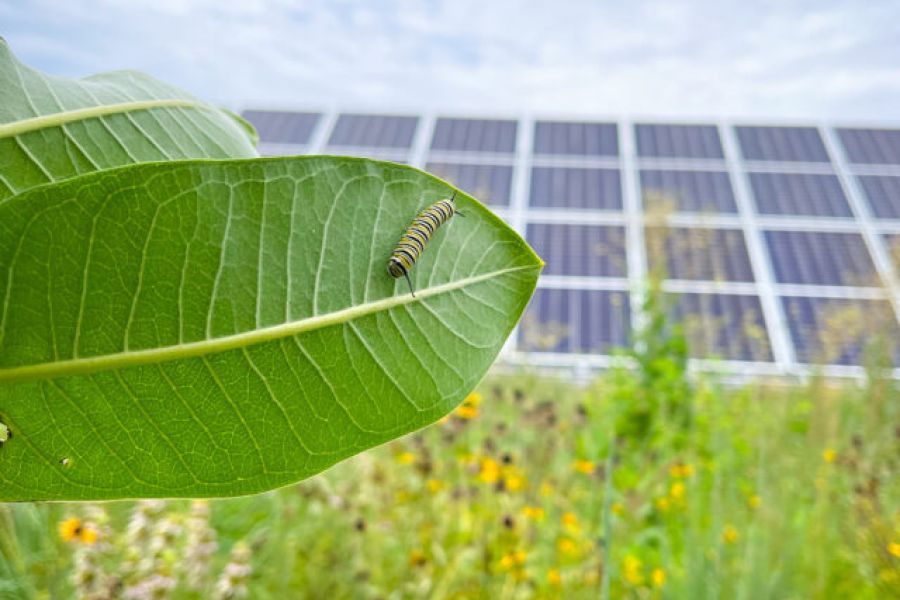 fotovoltaico