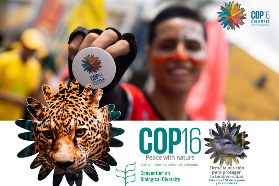 Fare pace con la natura. Al via in Colombia la Cop16 della Convention on biological diversity