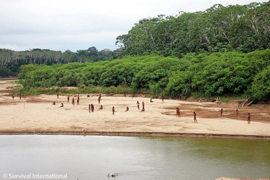 Amazzonia, gli indigeni incontattati Mashco Piro hanno ucciso dei taglialegna nel loro territorio