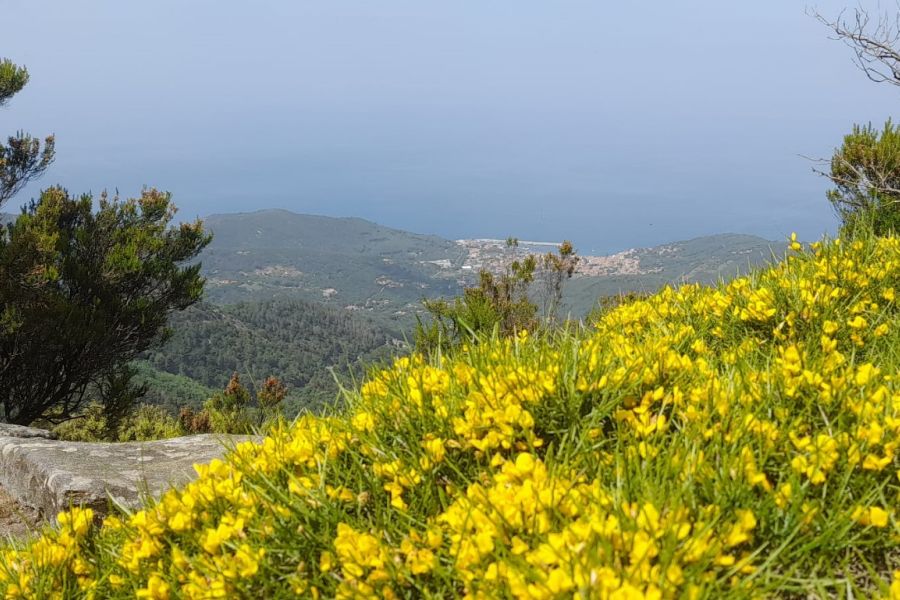 Il Santuario delle Farfalle compie 15 anni: il 2 giugno festa grande all’Isola d’Elba